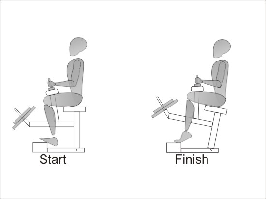 Seated Calf Raise